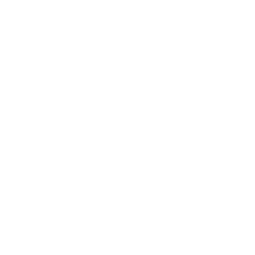 logo courier envios branco